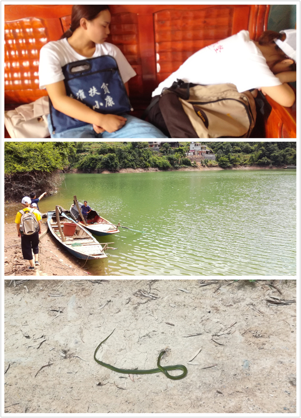 1500976441617024903.jpg QQ图片20170725153242lo.jpg